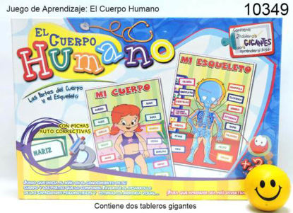 Imagen de EL CUERPO HUMANO 6.24